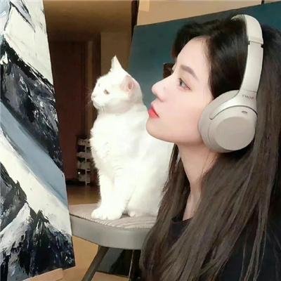 小豆的旅程